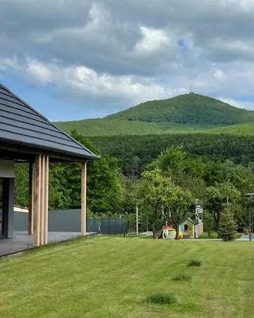 Wonderhill Rudabanyacska *