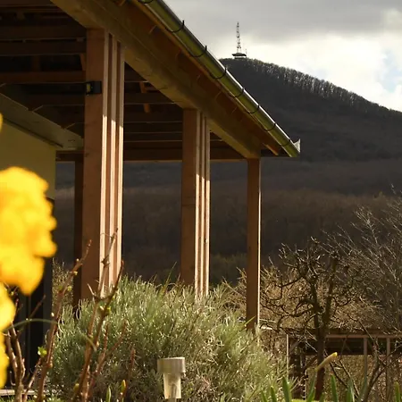 Διαμέρισμα Wonderhill Rudabanyacska *