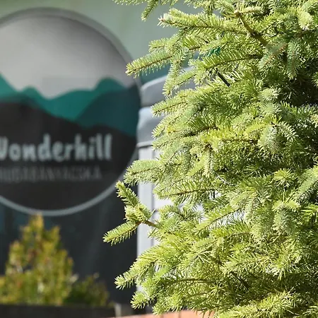 Wonderhill Rudabanyacska Sátoraljaújhely