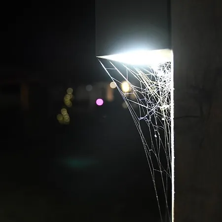 Wonderhill Rudabanyacska